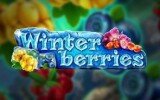 Winterberries